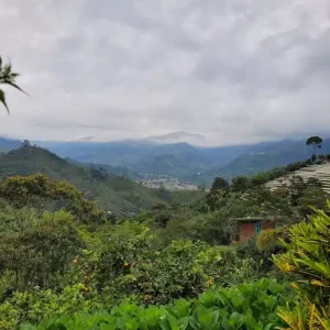 South America eSIM